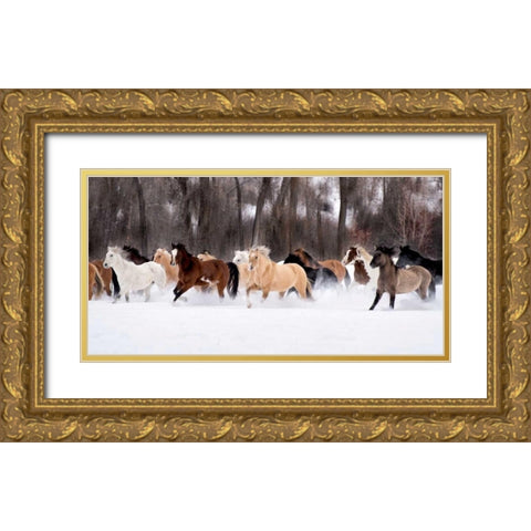 Snow Run II Gold Ornate Wood Framed Art Print with Double Matting by PHBurchett