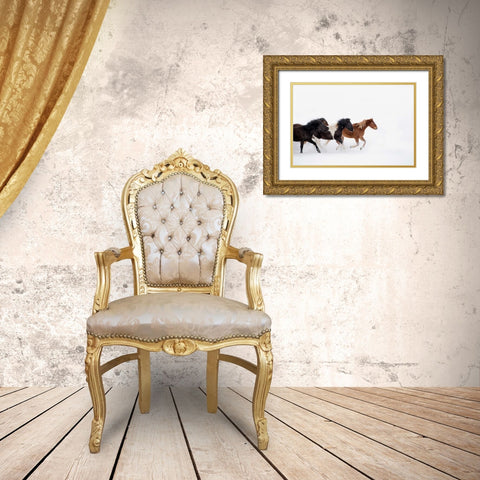 Snow Run IV Gold Ornate Wood Framed Art Print with Double Matting by PHBurchett