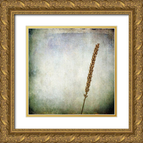 Grunge Remnants I Gold Ornate Wood Framed Art Print with Double Matting by Malek, Honey