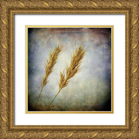 Grunge Remnants VI Gold Ornate Wood Framed Art Print with Double Matting by Malek, Honey