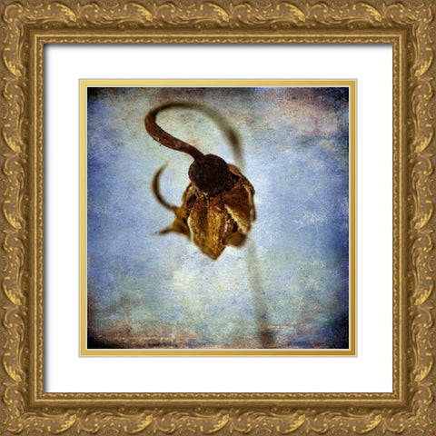 Grunge Remnants VIII Gold Ornate Wood Framed Art Print with Double Matting by Malek, Honey