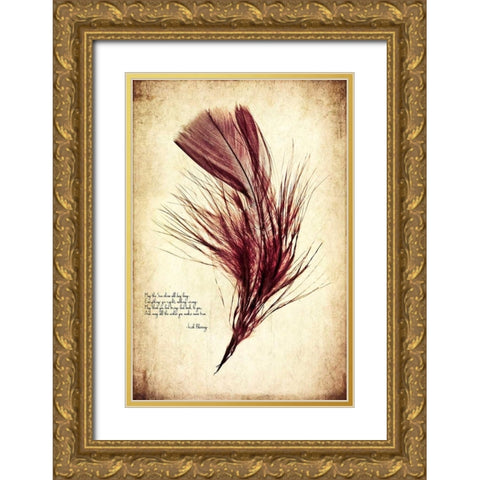 Feather in Color III Gold Ornate Wood Framed Art Print with Double Matting by Malek, Honey