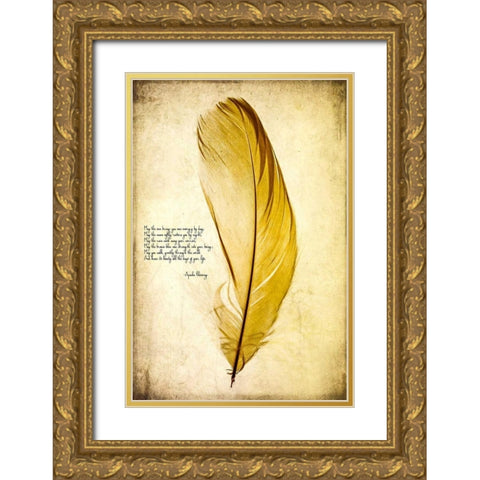 Feather in Color IV Gold Ornate Wood Framed Art Print with Double Matting by Malek, Honey