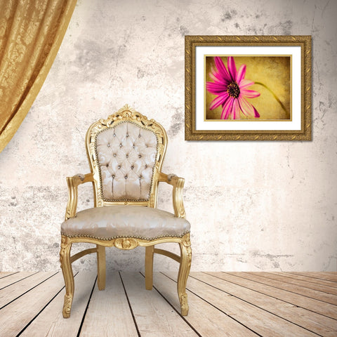 Fuchsia Daisy III Gold Ornate Wood Framed Art Print with Double Matting by Malek, Honey