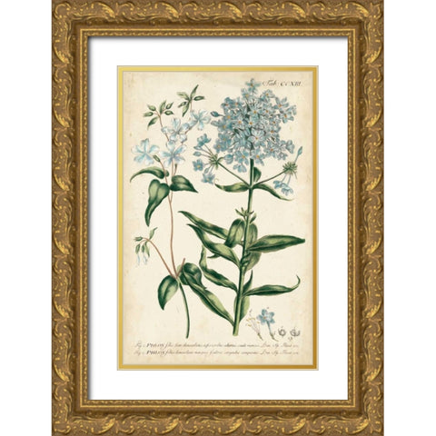 Chambray Botanical II Gold Ornate Wood Framed Art Print with Double Matting by Miller, Dianne