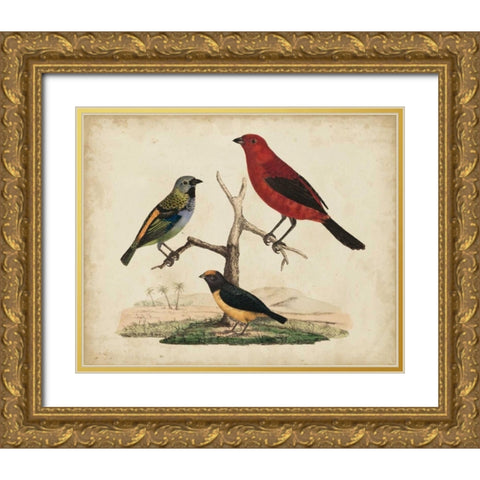 Red and Green Tanager Gold Ornate Wood Framed Art Print with Double Matting by Strack, Friedrich
