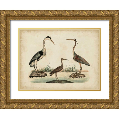 Common Heron and Crested Purple Heron Gold Ornate Wood Framed Art Print with Double Matting by Strack, Friedrich