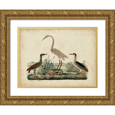 Great White Heron and Night Heron Gold Ornate Wood Framed Art Print with Double Matting by Strack, Friedrich
