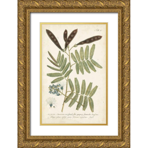 Miller Ferns I Gold Ornate Wood Framed Art Print with Double Matting by Miller, Dianne