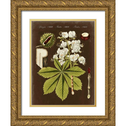 Chestnut on Suede Gold Ornate Wood Framed Art Print with Double Matting by Vision Studio