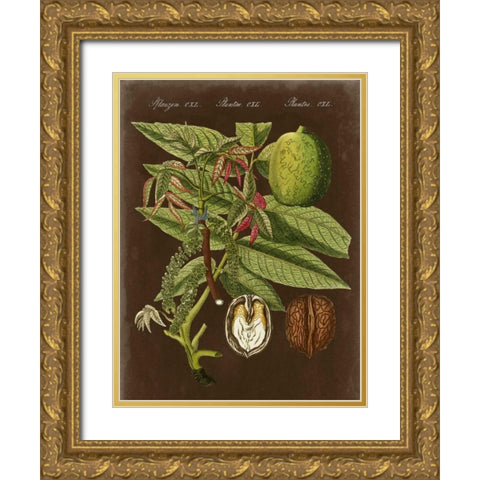 Walnut on Suede Gold Ornate Wood Framed Art Print with Double Matting by Vision Studio