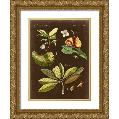 Breadfruit on Suede Gold Ornate Wood Framed Art Print with Double Matting by Vision Studio