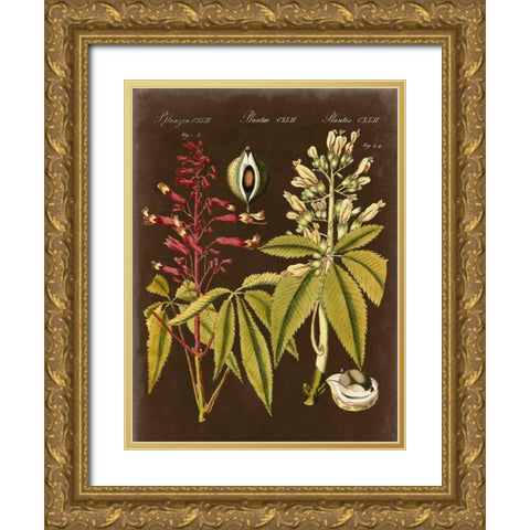 Buckeye on Suede Gold Ornate Wood Framed Art Print with Double Matting by Vision Studio