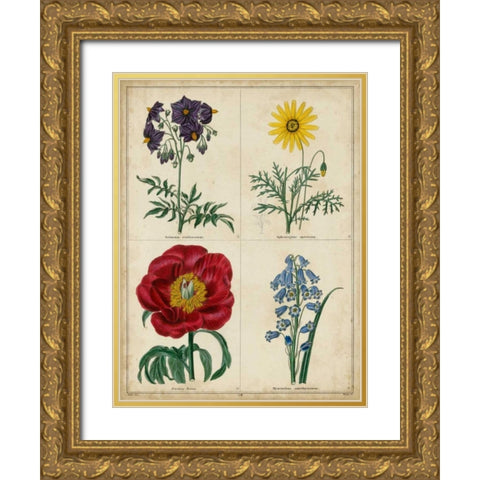 Botanical Grid I Gold Ornate Wood Framed Art Print with Double Matting by Maund, Benjamin