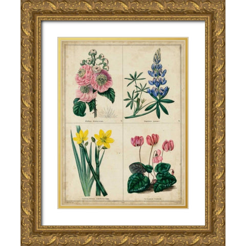 Botanical Grid III Gold Ornate Wood Framed Art Print with Double Matting by Maund, Benjamin