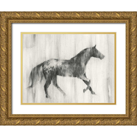 Appaloosa Study I Gold Ornate Wood Framed Art Print with Double Matting by Harper, Ethan