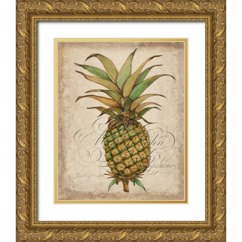 Pineapple Study I Gold Ornate Wood Framed Art Print with Double Matting by OToole, Tim