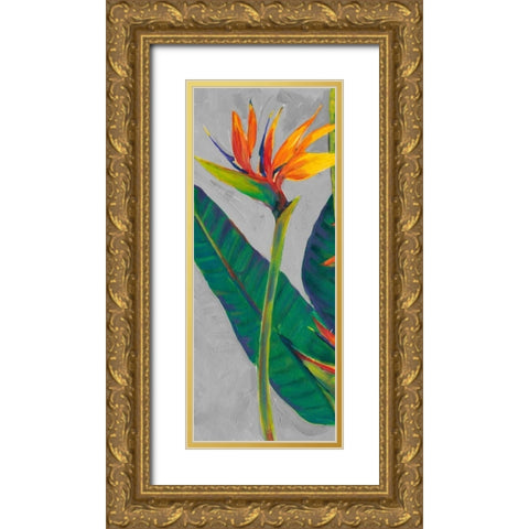 Bird of Paradise Triptych I Gold Ornate Wood Framed Art Print with Double Matting by OToole, Tim