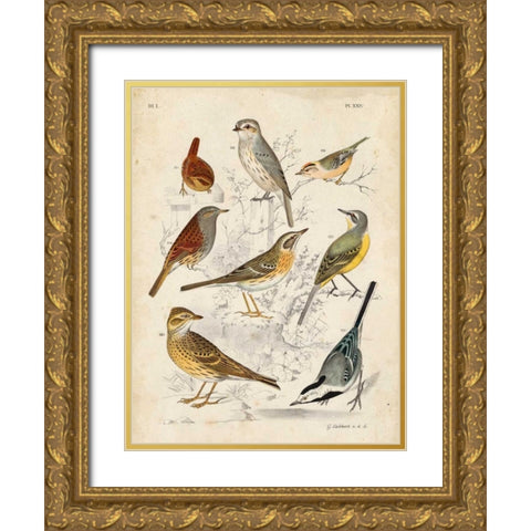 Gathering of Birds I Gold Ornate Wood Framed Art Print with Double Matting by Lubbert, G.