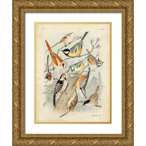 Gathering of Birds II Gold Ornate Wood Framed Art Print with Double Matting by Lubbert, G.