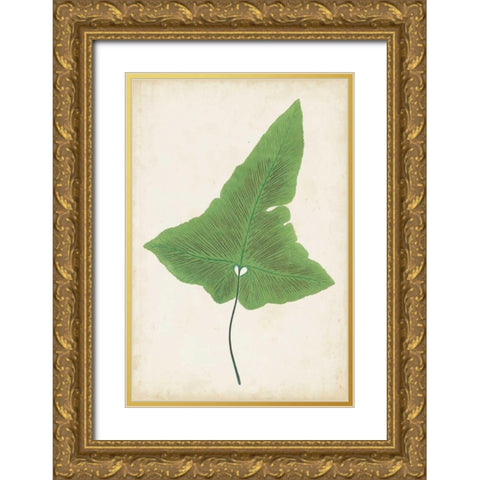 Fern Family I Gold Ornate Wood Framed Art Print with Double Matting by Lowe
