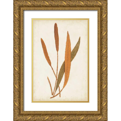 Fern Family VI Gold Ornate Wood Framed Art Print with Double Matting by Lowe