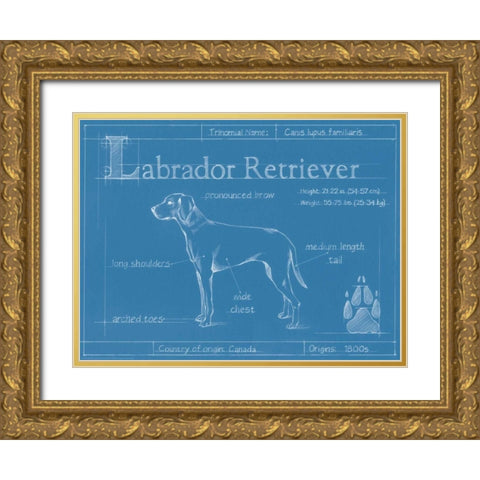 Blueprint Labrador Retriever Gold Ornate Wood Framed Art Print with Double Matting by Harper, Ethan