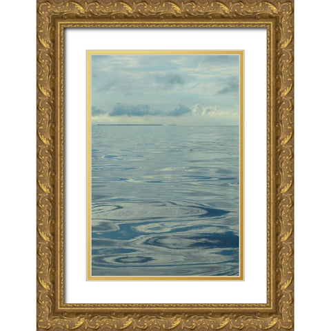 Water II Gold Ornate Wood Framed Art Print with Double Matting by Chandler, Sharon