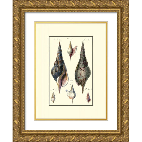 Custom Sea Shell III Gold Ornate Wood Framed Art Print with Double Matting by Diderot