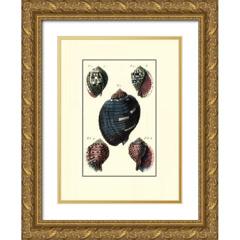 Custom Sea Shell VII Gold Ornate Wood Framed Art Print with Double Matting by Diderot