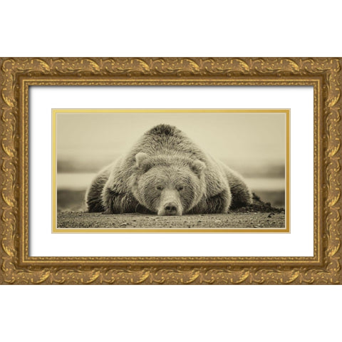 Deep Sleep (ASH) Gold Ornate Wood Framed Art Print with Double Matting by PHBurchett