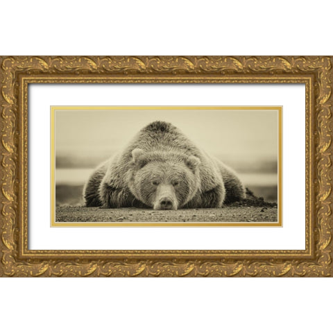 30x60 Deep Sleep (ASH) Gold Ornate Wood Framed Art Print with Double Matting by PHBurchett