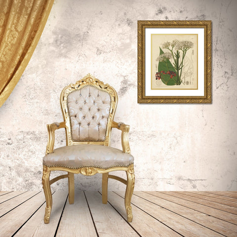 Curtis Leaves and Blooms II Gold Ornate Wood Framed Art Print with Double Matting by Curtis