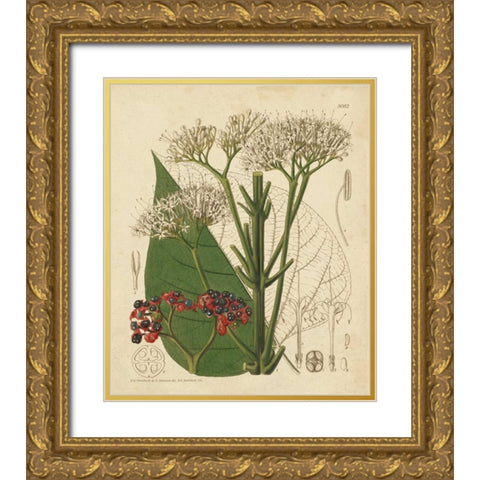 Curtis Leaves and Blooms II Gold Ornate Wood Framed Art Print with Double Matting by Curtis