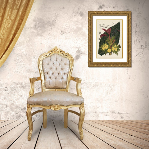 Begonia Varieties II Gold Ornate Wood Framed Art Print with Double Matting by Stroobant