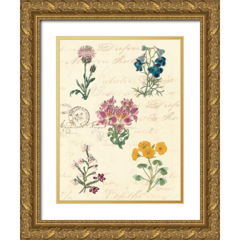 Botanical Journal I Gold Ornate Wood Framed Art Print with Double Matting by Vision Studio