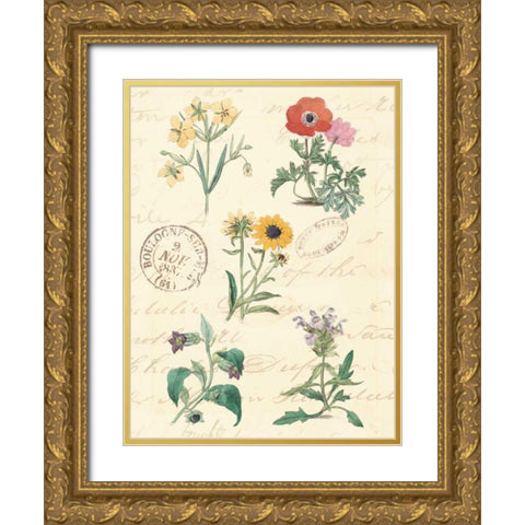 Botanical Journal IV Gold Ornate Wood Framed Art Print with Double Matting by Vision Studio