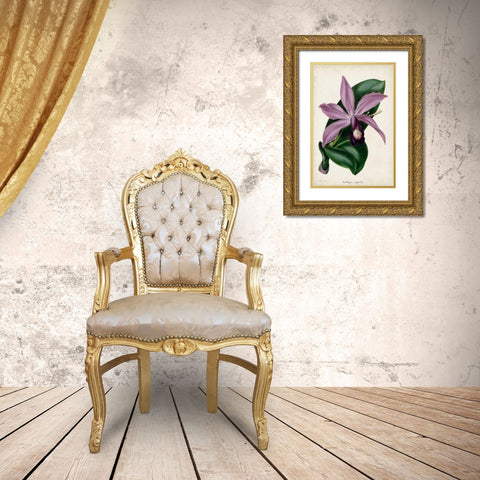 Plum Orchid Gold Ornate Wood Framed Art Print with Double Matting by Paxton