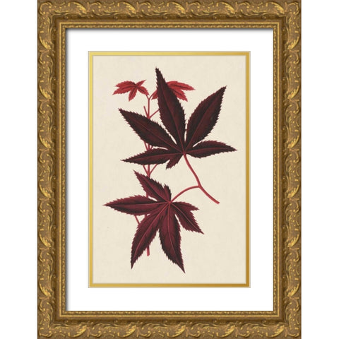 Japanese Maple Leaves I Gold Ornate Wood Framed Art Print with Double Matting by Stroobant