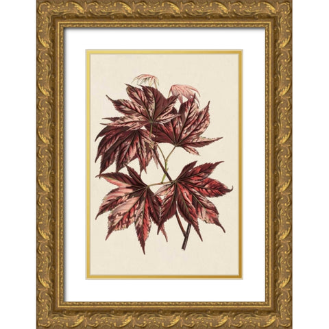 Japanese Maple Leaves II Gold Ornate Wood Framed Art Print with Double Matting by Stroobant