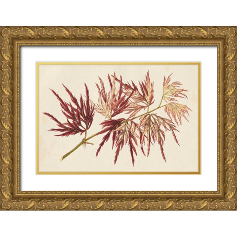 Japanese Maple Leaves V Gold Ornate Wood Framed Art Print with Double Matting by Stroobant