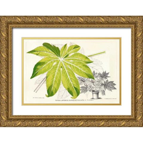 Fern Leaf Foliage I Gold Ornate Wood Framed Art Print with Double Matting by Stroobant