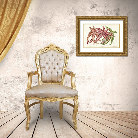 Fern Leaf Foliage III Gold Ornate Wood Framed Art Print with Double Matting by Stroobant