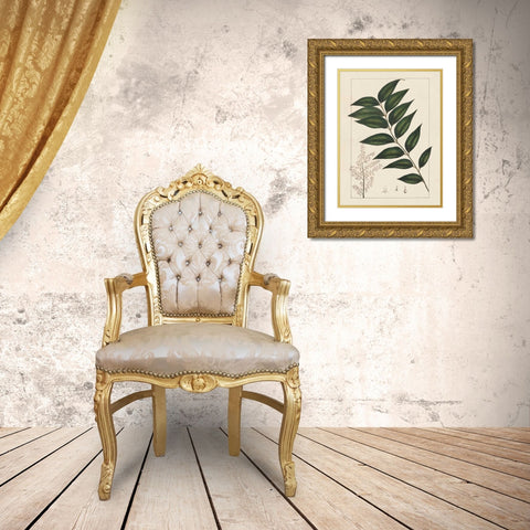 Silva Leaves III Gold Ornate Wood Framed Art Print with Double Matting by Silva, John