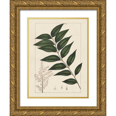 Silva Leaves III Gold Ornate Wood Framed Art Print with Double Matting by Silva, John