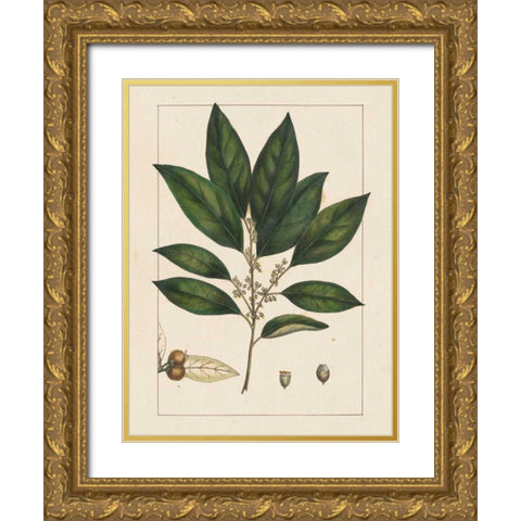 Silva Leaves IV Gold Ornate Wood Framed Art Print with Double Matting by Silva, John