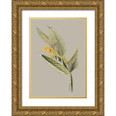 Botanical Cabinet III Gold Ornate Wood Framed Art Print with Double Matting by Cooke, E.W.