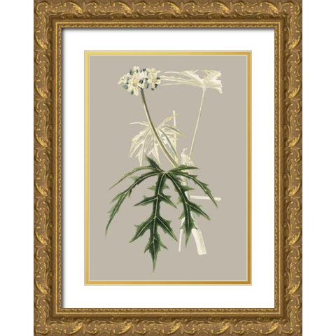 Botanical Cabinet V Gold Ornate Wood Framed Art Print with Double Matting by Cooke, E.W.