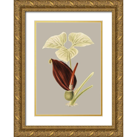 Botanical Cabinet VIII Gold Ornate Wood Framed Art Print with Double Matting by Cooke, E.W.