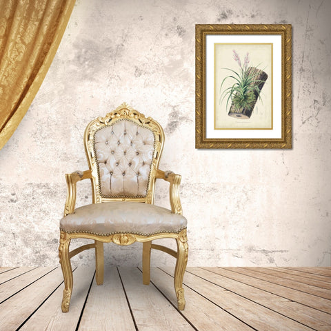 Orchid Delight II Gold Ornate Wood Framed Art Print with Double Matting by Severeyns, George